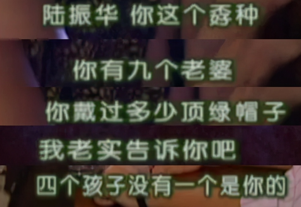《情深深雨濛濛》：陆振华娶了9个姨太太，为什么只带2个到上海？