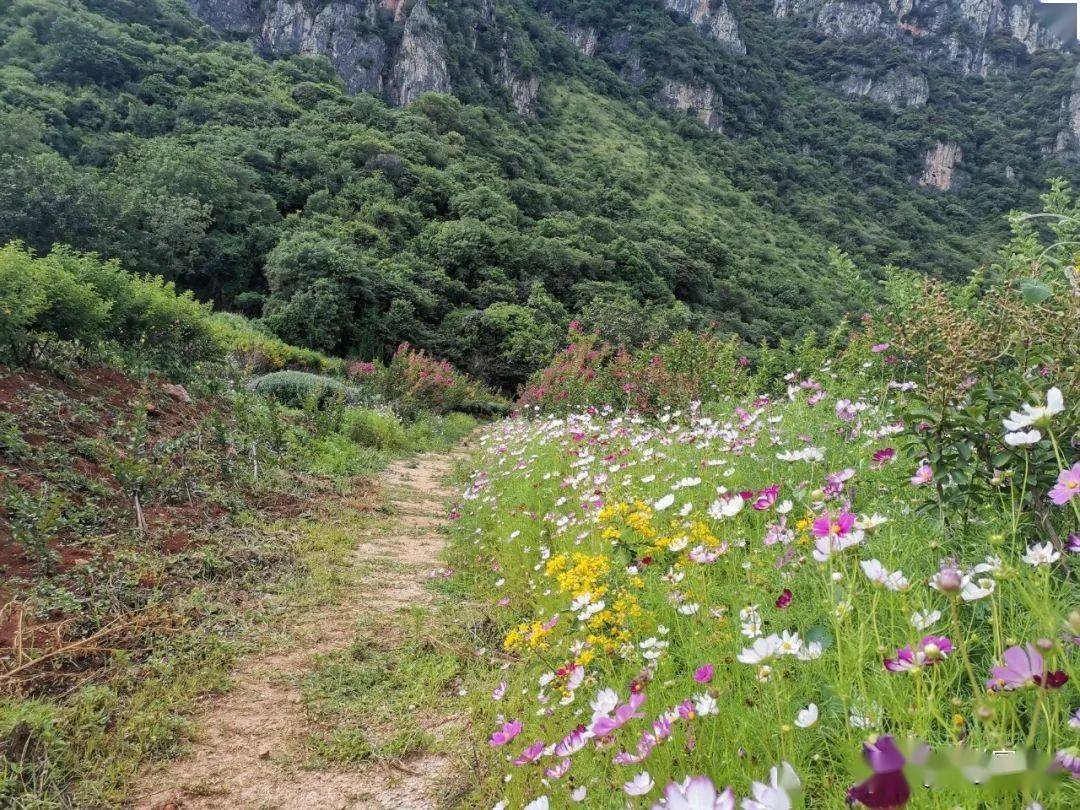 无敌姑爷<strong>赵飞扬苏雨萱</strong>啃书网