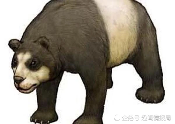 从末世进化的熊猫