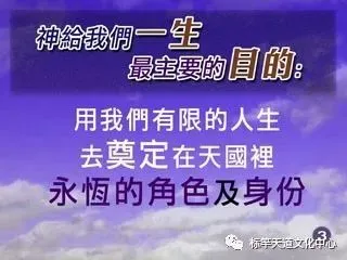 天残拾芳录 txt下载_天残拾芳录_天残拾芳录类似小说