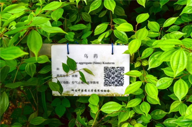 北京药用植物园门票及地址交通攻略(图)