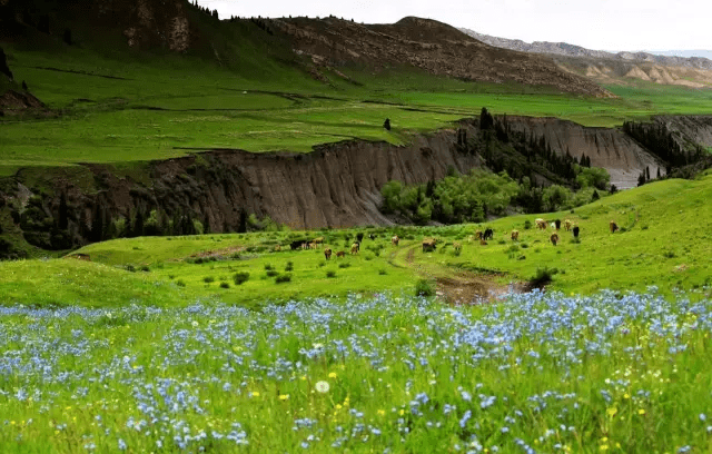 S101，新疆竟藏了条最美省道，荒废半世纪，夏日出发将美哭