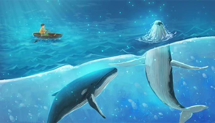 如何在海洋之中漫游：揭秘世界上最大的动物——蓝鲸