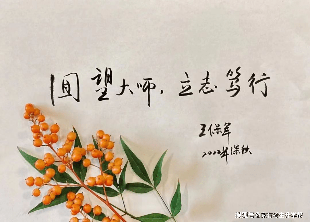 郑州七中高三学子以手写心，向大师致敬《我眼中的大师》