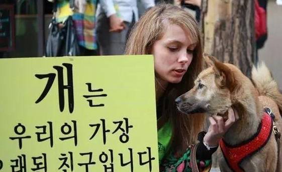 禁令下，韩国人“挂羊头卖狗肉”：他们为什么酷爱吃狗？