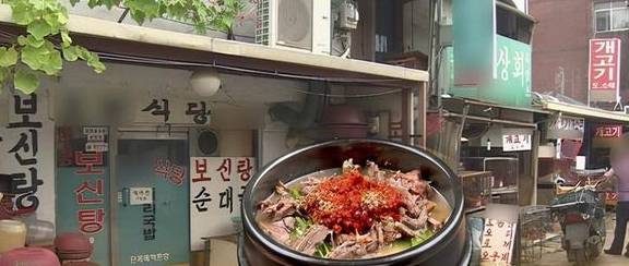禁令下，韩国人“挂羊头卖狗肉”：他们为什么酷爱吃狗？