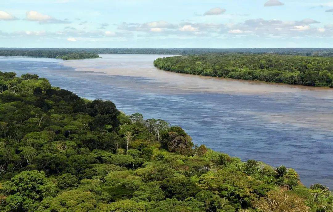流量是长江7倍的亚马逊河有多恐怖？为何至今没有一座桥能跨越它