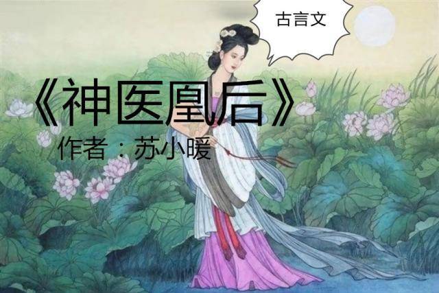 女神医文《神医弃妃》《神医弃女》《神医毒妃》《神医嫡女》爆红