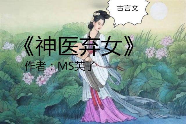 女神医文《神医弃妃》《神医弃女》《神医毒妃》《神医嫡女》爆红