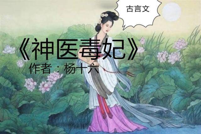 女神医文《神医弃妃》《神医弃女》《神医毒妃》《神医嫡女》爆红