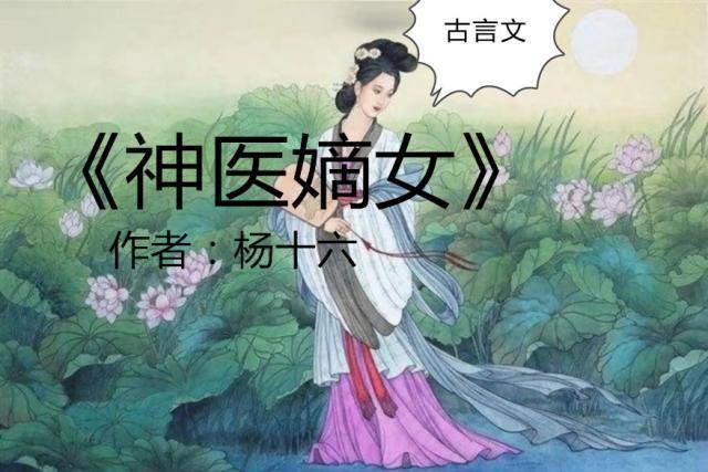 女神医文《神医弃妃》《神医弃女》《神医毒妃》《神医嫡女》爆红