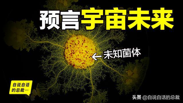 未知菌体：单细胞生物预言，结构像大脑和宇宙，高维宇宙的投影？