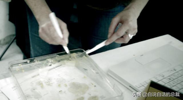 超级黄金脑域_超级生物之脑_超级生物脑