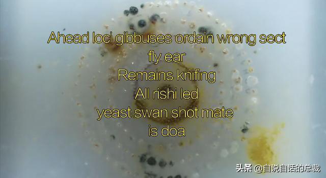 超级生物之脑_超级生物脑_超级黄金脑域