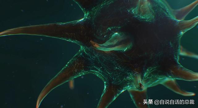 超级生物之脑_超级黄金脑域_超级生物脑