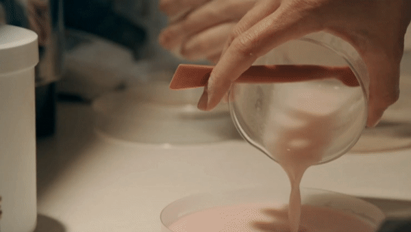 超级黄金脑域_超级生物脑_超级生物之脑
