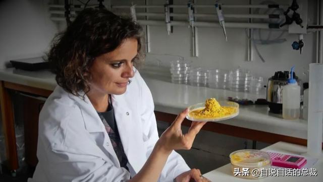 超级生物之脑_超级生物脑_超级黄金脑域