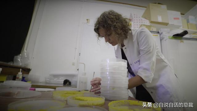 超级生物之脑_超级生物脑_超级黄金脑域