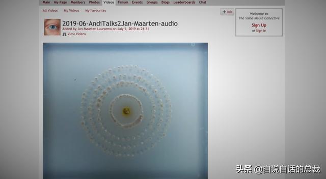 超级生物脑_超级黄金脑域_超级生物之脑