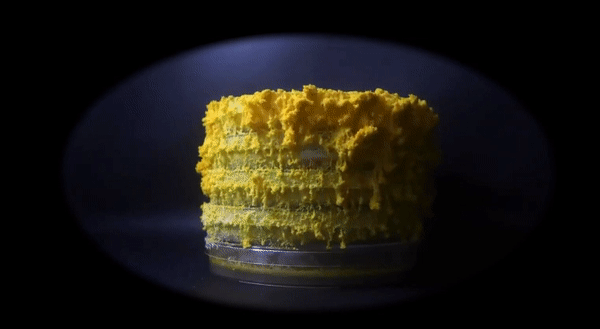 超级生物脑_超级黄金脑域_超级生物之脑