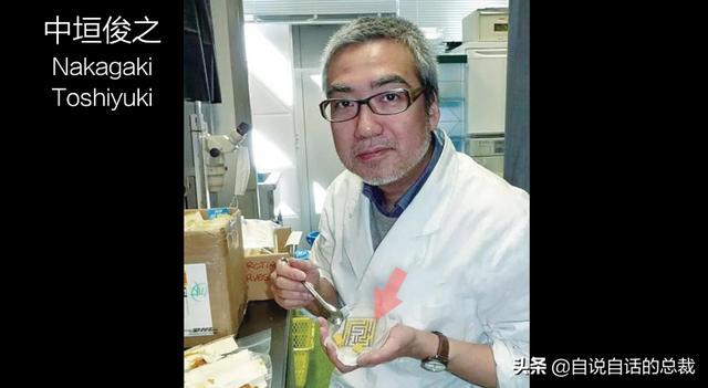 超级生物之脑_超级黄金脑域_超级生物脑