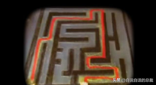 超级生物脑_超级生物之脑_超级黄金脑域