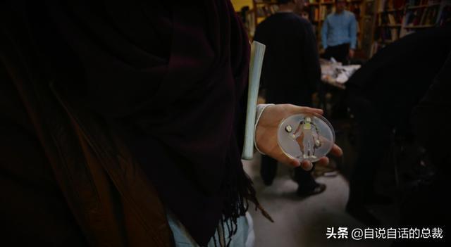 超级生物之脑_超级黄金脑域_超级生物脑
