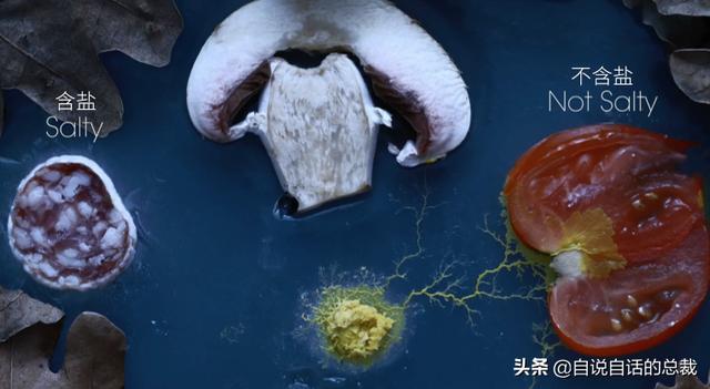 超级生物之脑_超级黄金脑域_超级生物脑